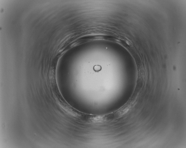 X0000074930092200609011101