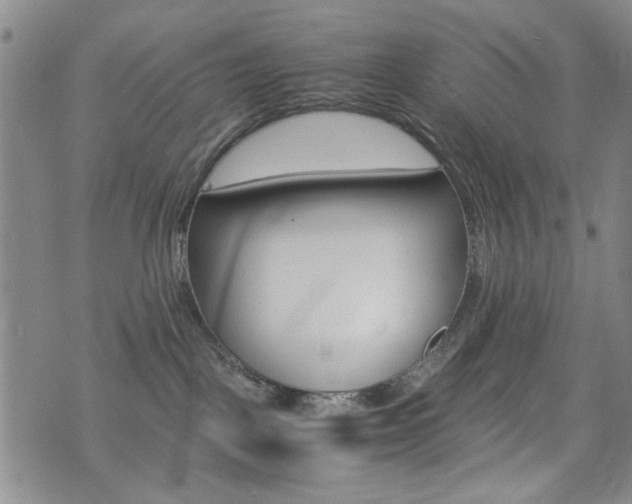 X0000074930093200609011101