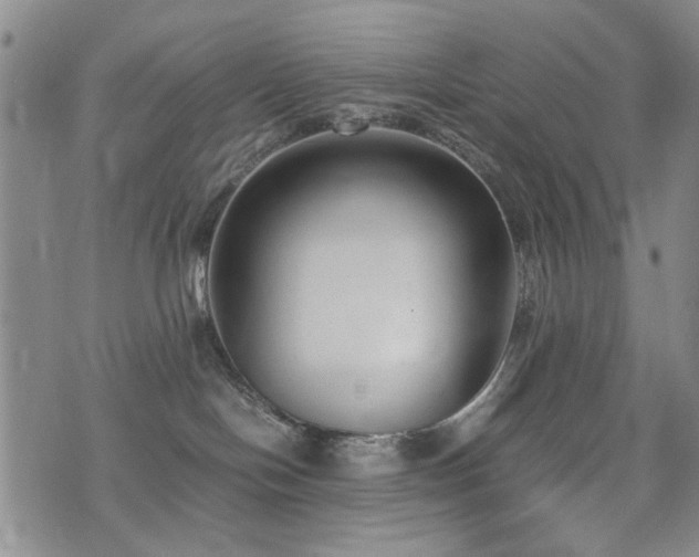 X0000074930094200609011101