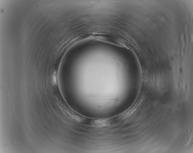 X0000074930095200609011101