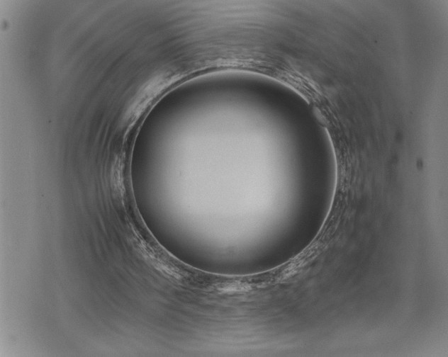 X0000074930098200609011101