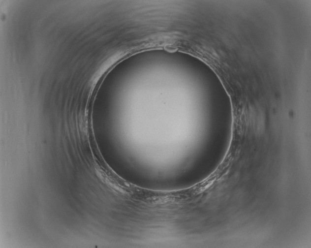 X0000074930100200609011100