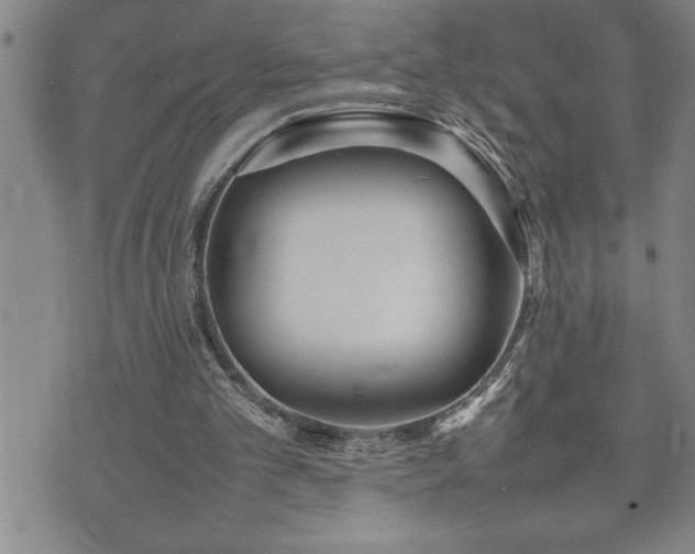 X0000074930101200609011100