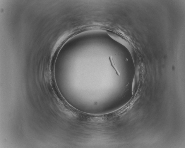 X0000074930102200609011100