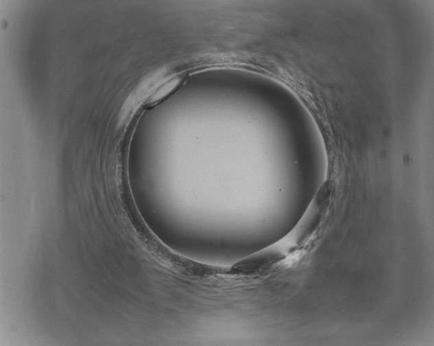 X0000074930103200609011100