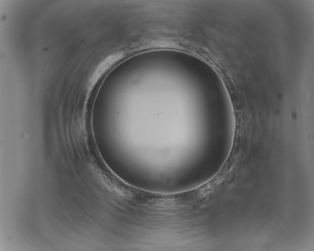 X0000074930104200609011100