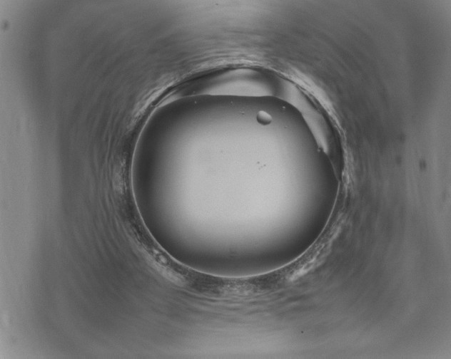 X0000074930105200609011100