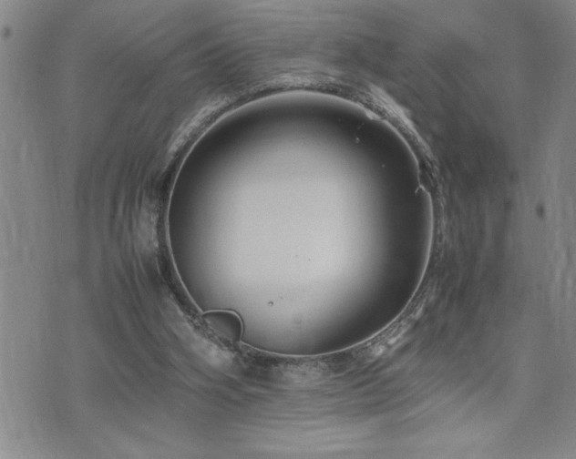 X0000074930106200609011100