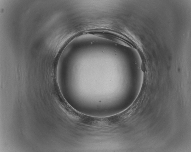 X0000074930107200609011100