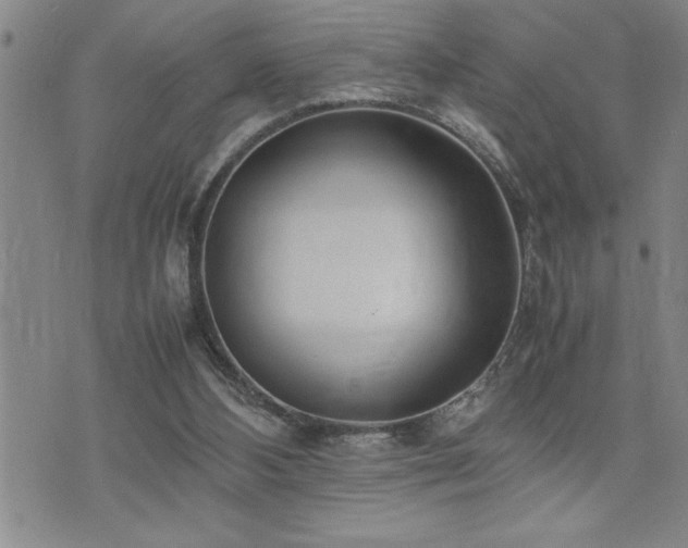 X0000074930108200609011100