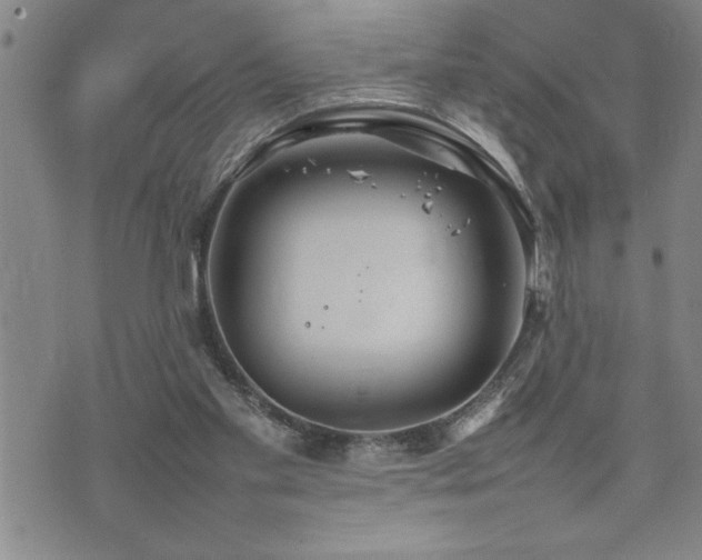 X0000074930109200609011100