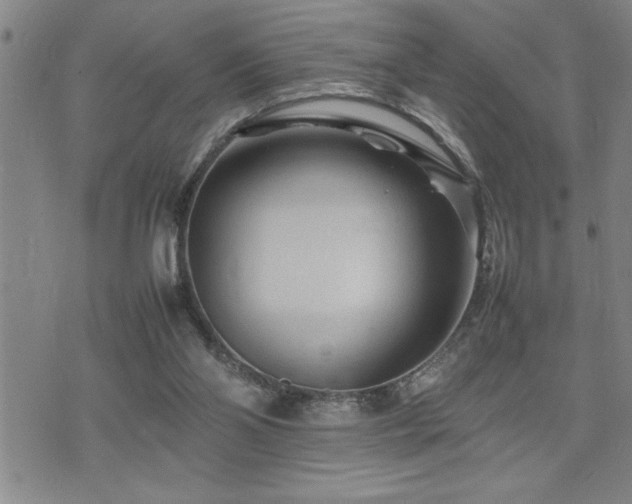 X0000074930110200609011100