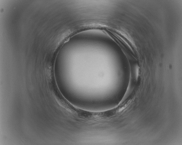 X0000074930111200609011100