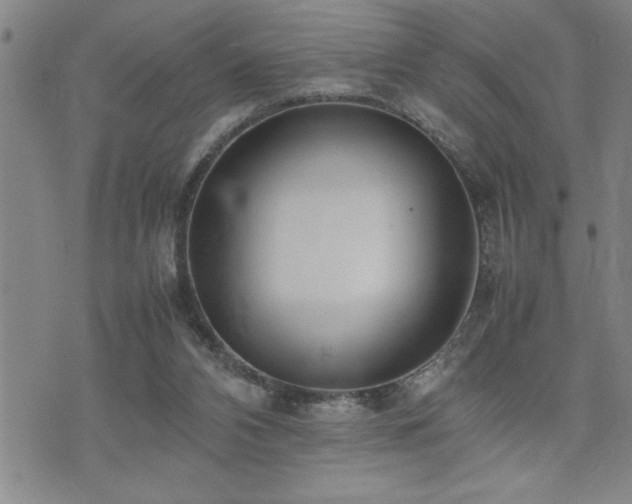 X0000074930112200609011100