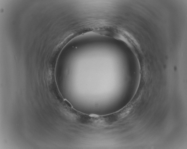 X0000074930113200609011100