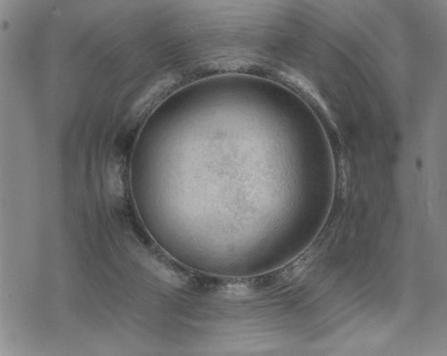 X0000074930114200609011100