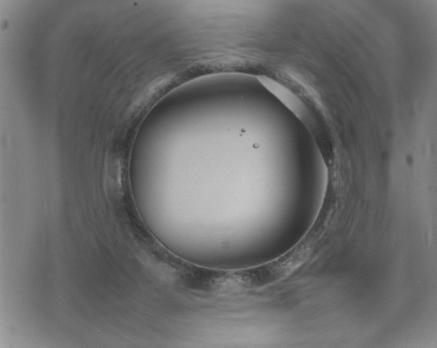 X0000074930115200609011100