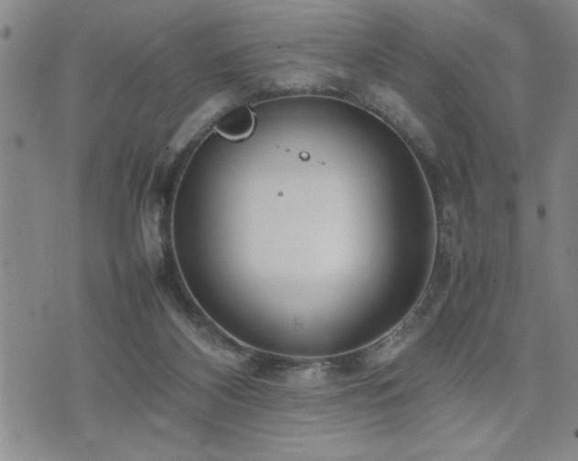 X0000074930116200609011100