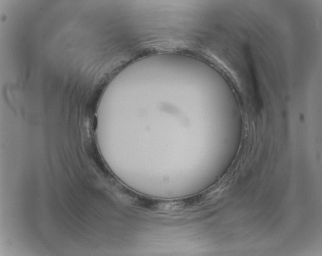 X0000074930117200609011100