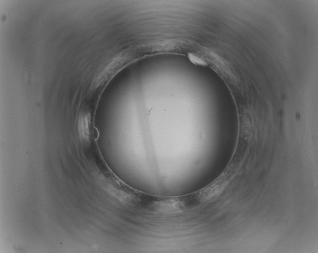 X0000074930118200609011100