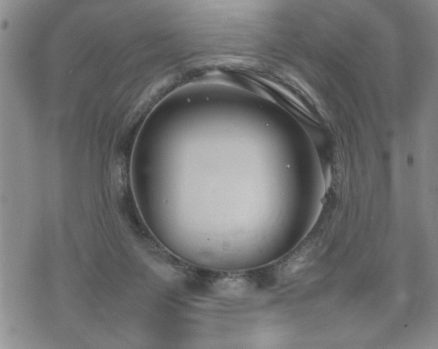 X0000074930119200609011100