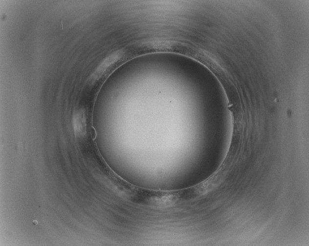 X0000074930120200609011100