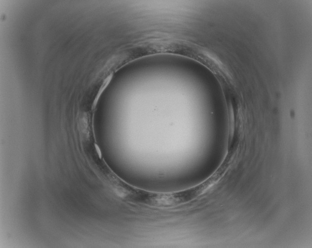 X0000074930121200609011100