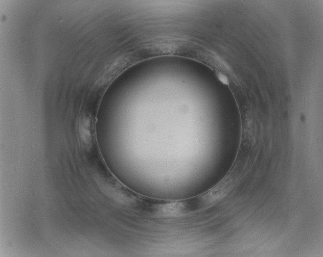 X0000074930122200609011100