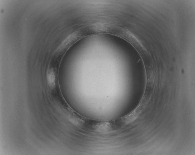 X0000074930124200609011100