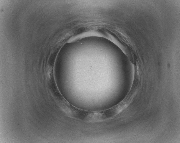 X0000074930125200609011100