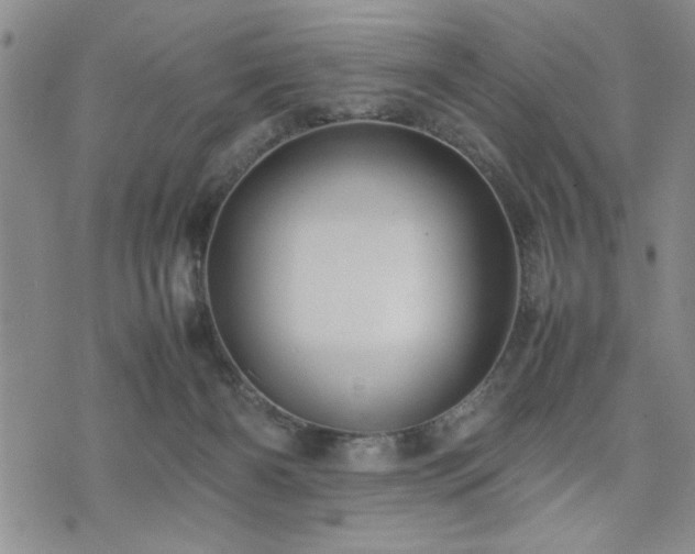 X0000074930126200609011100