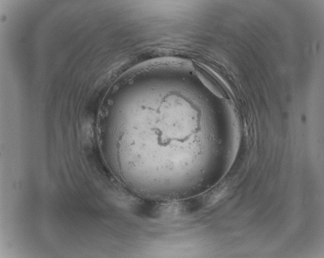 X0000074930127200609011100