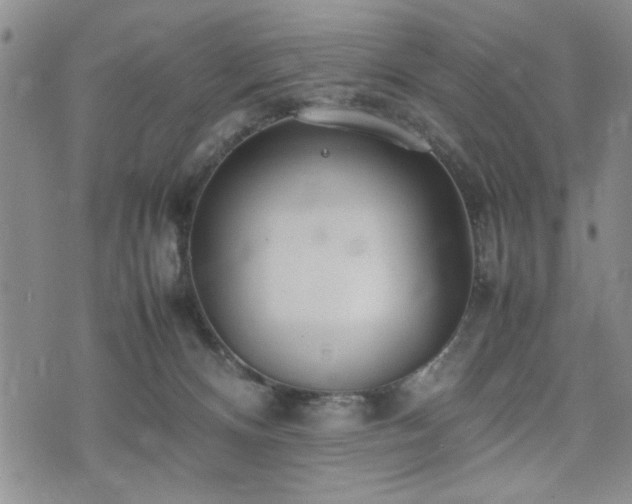 X0000074930128200609011100