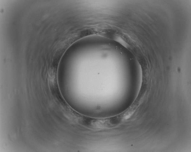 X0000074930129200609011100