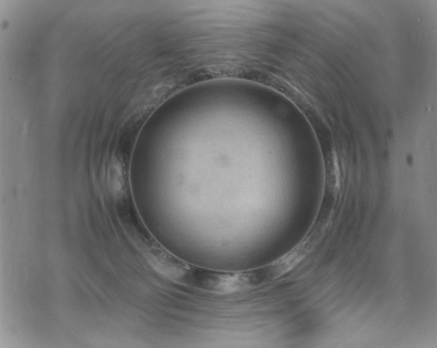 X0000074930130200609011100