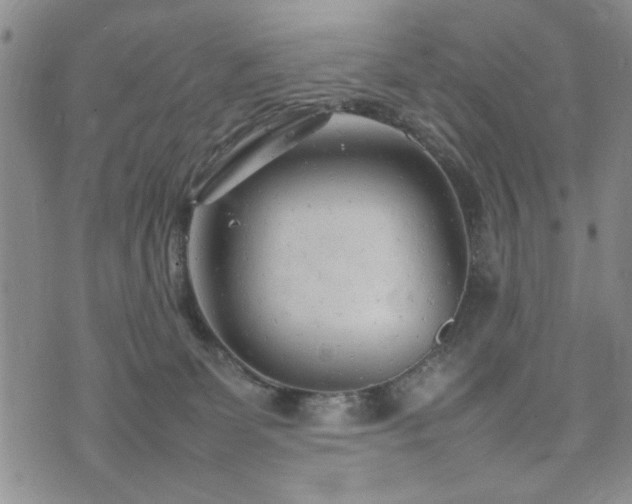 X0000074930131200609011100