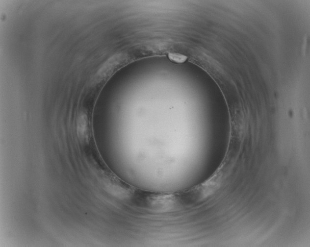 X0000074930132200609011100