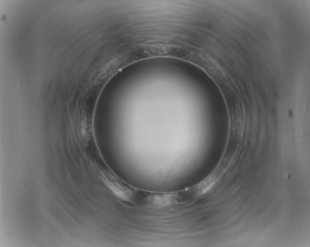 X0000074930134200609011100