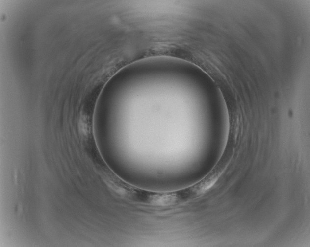 X0000074930135200609011100