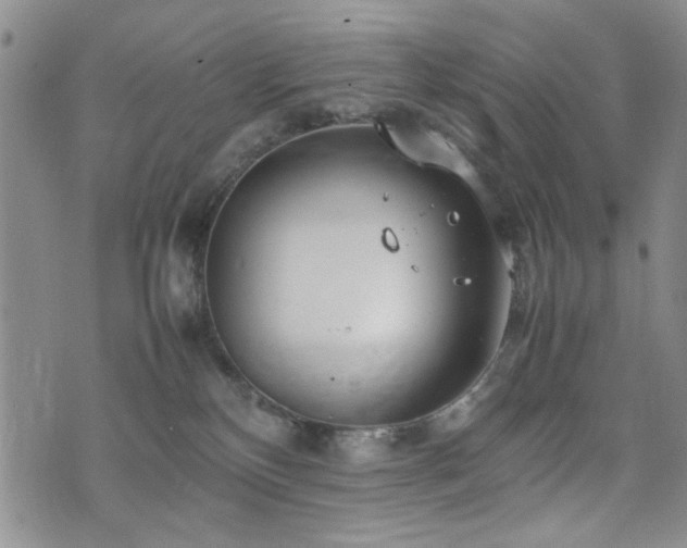 X0000074930136200609011100