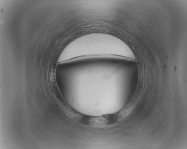 X0000074930137200609011100