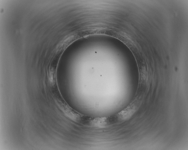 X0000074930138200609011100