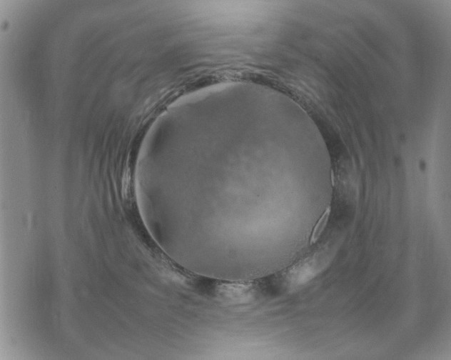 X0000074930139200609011100