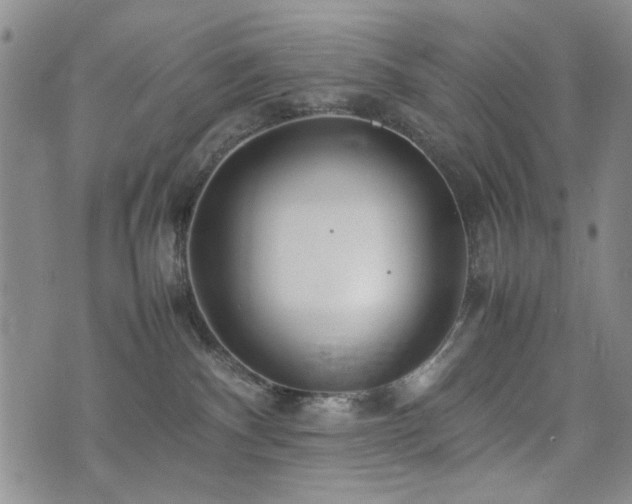 X0000074930140200609011100