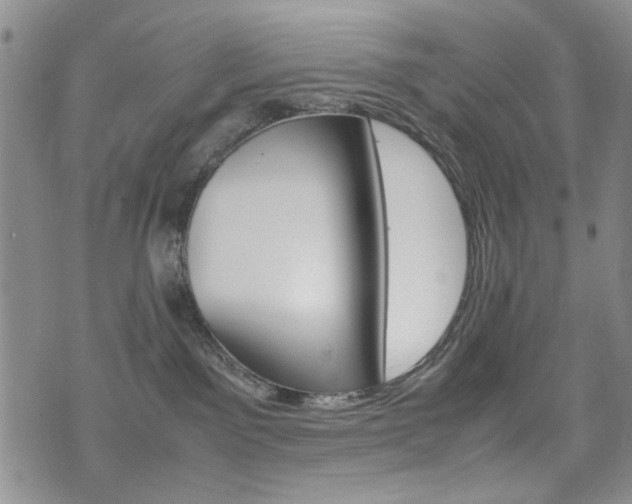 X0000074930141200609011100