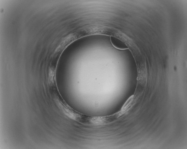 X0000074930142200609011100