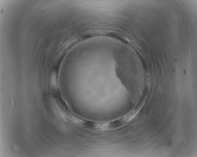 X0000074930143200609011100