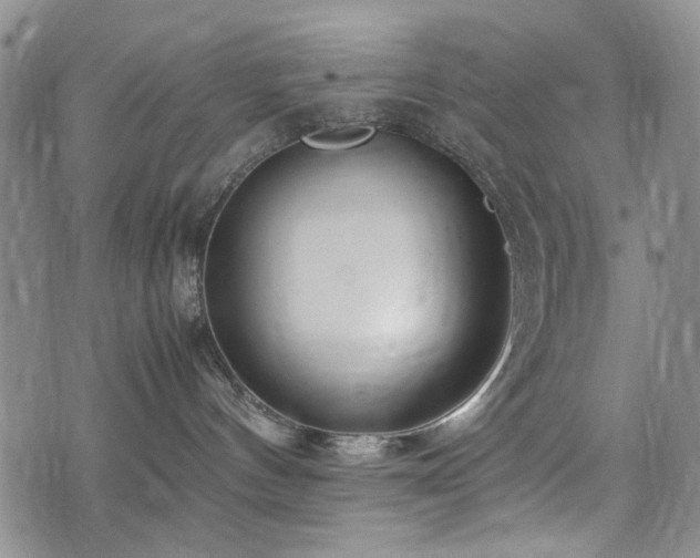 X0000074930144200609011100