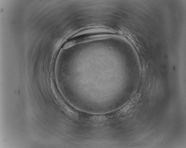 X0000074930145200609011059