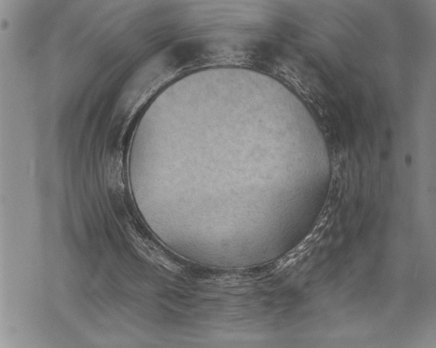 X0000074930146200609011059